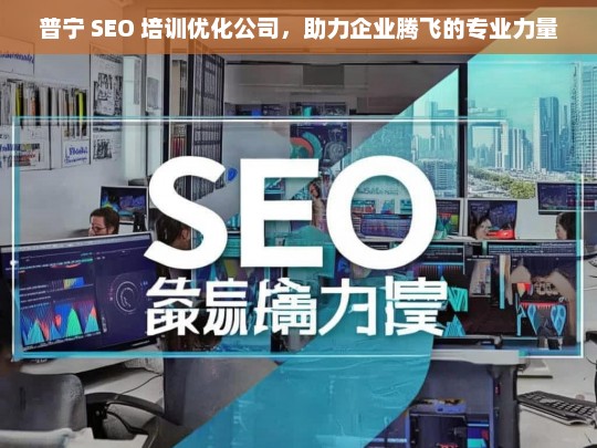 普宁 SEO 培训优化公司，助力企业腾飞的专业力量