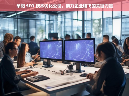 阜阳 SEO 技术优化公司，助力企业腾飞的关键力量