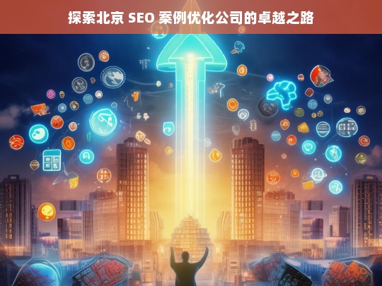 探索北京 SEO 案例优化公司的卓越之路