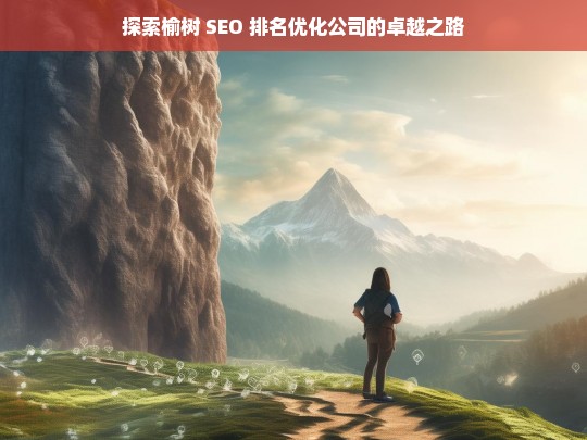 探索榆树 SEO 排名优化公司的卓越之路