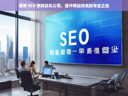 湖南 SEO 快排优化公司，提升网站排名的专业之选