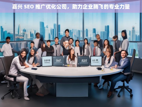 嘉兴 SEO 推广优化公司，助力企业腾飞的专业力量