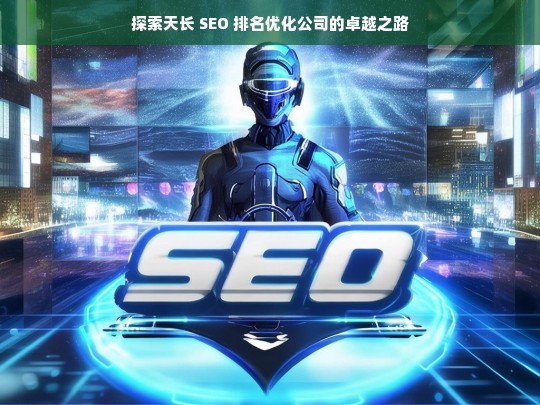 探索天长 SEO 排名优化公司的卓越之路