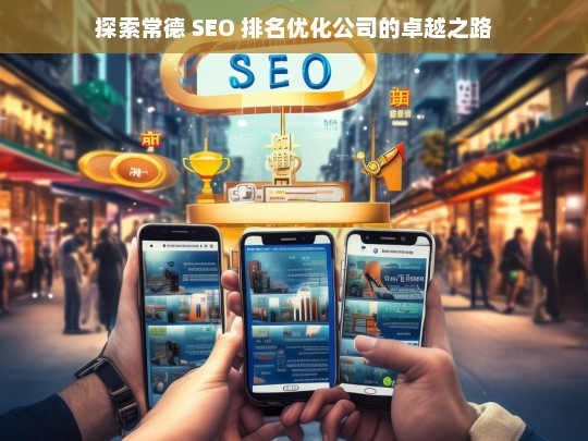 探索常德 SEO 排名优化公司的卓越之路