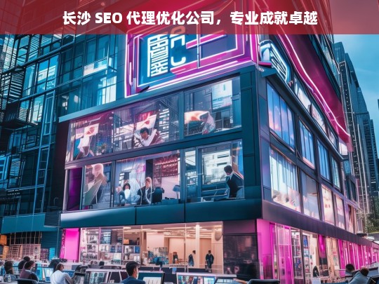 长沙 SEO 代理优化公司，专业成就卓越