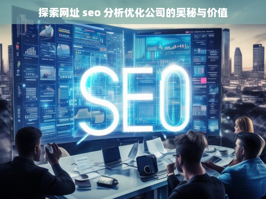 探索网址 seo 分析优化公司的奥秘与价值