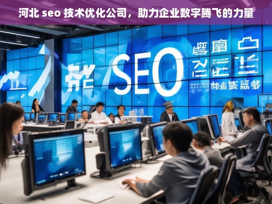 河北 seo 技术优化公司，助力企业数字腾飞的力量