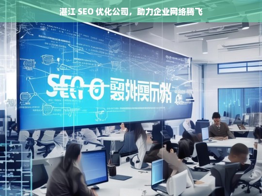 湛江 SEO 优化公司，助力企业网络腾飞