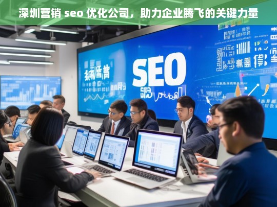 深圳营销 seo 优化公司，助力企业腾飞的关键力量