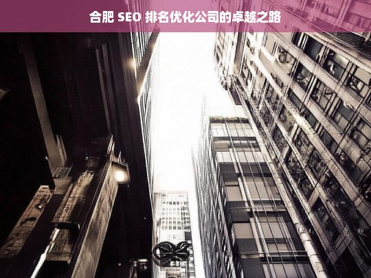 合肥 SEO 排名优化公司的卓越之路