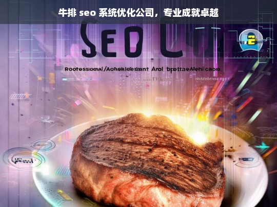 牛排 seo 系统优化公司，专业成就卓越