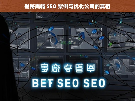 揭秘黑帽 SEO 案例与优化公司的真相