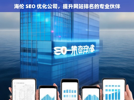 海伦 SEO 优化公司，提升网站排名的专业伙伴