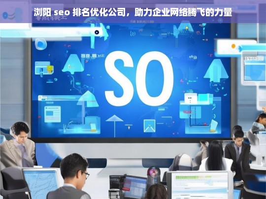 浏阳 seo 排名优化公司，助力企业网络腾飞的力量