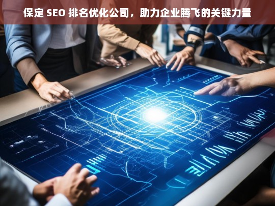 保定 SEO 排名优化公司，助力企业腾飞的关键力量