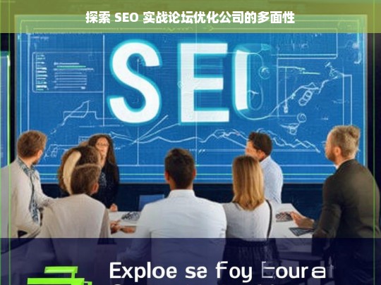 探索 SEO 实战论坛优化公司的多面性