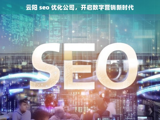 云阳 seo 优化公司，开启数字营销新时代