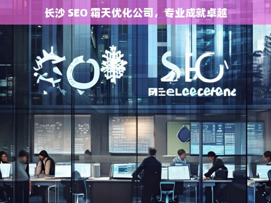 长沙 SEO 霜天优化公司，专业成就卓越