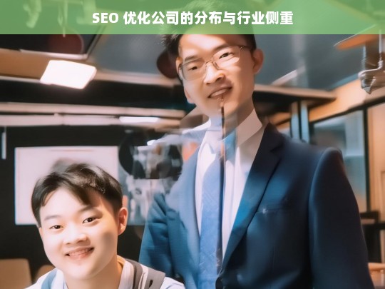 SEO 优化公司的分布与行业侧重