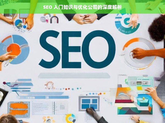 SEO 入门知识与优化公司的深度解析