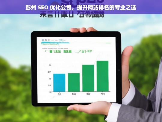 彭州 SEO 优化公司，提升网站排名的专业之选