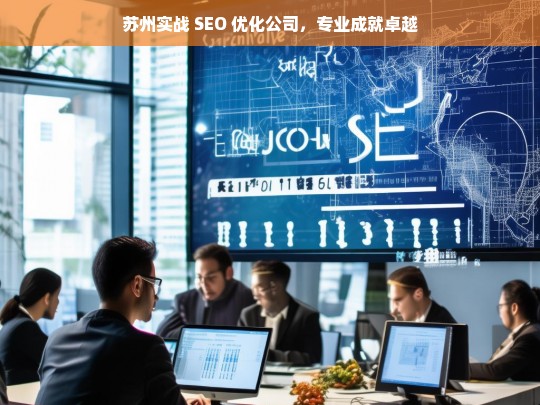 苏州实战 SEO 优化公司，专业成就卓越