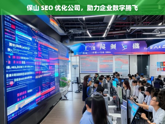 保山 SEO 优化公司，助力企业数字腾飞