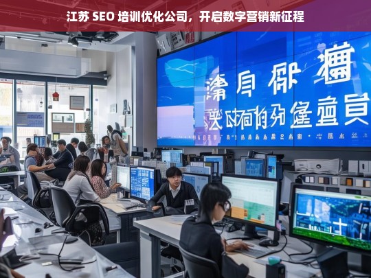 江苏 SEO 培训优化公司，开启数字营销新征程