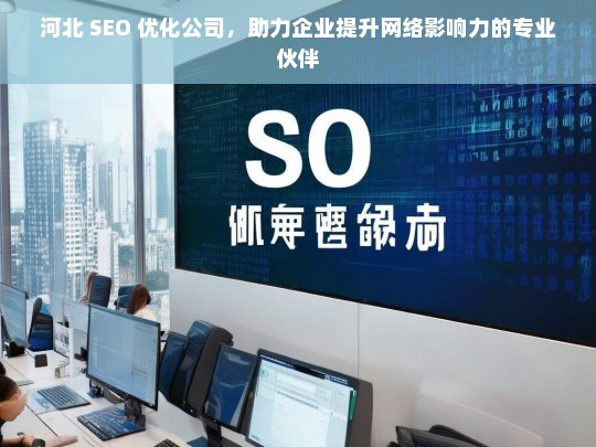 河北 SEO 优化公司，助力企业提升网络影响力的专业伙伴