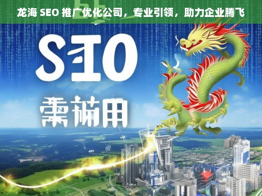 龙海 SEO 推广优化公司，专业引领，助力企业腾飞