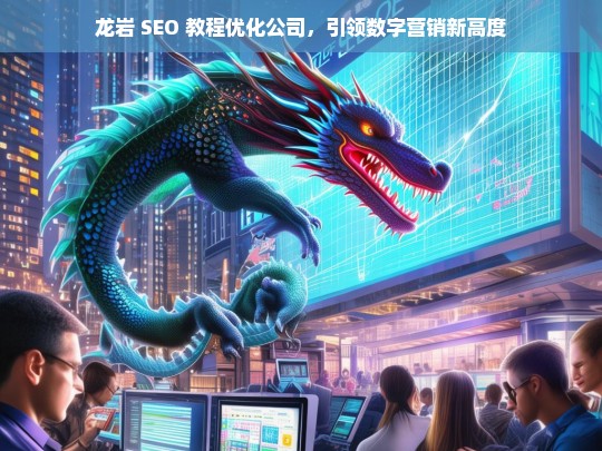 龙岩 SEO 教程优化公司，引领数字营销新高度