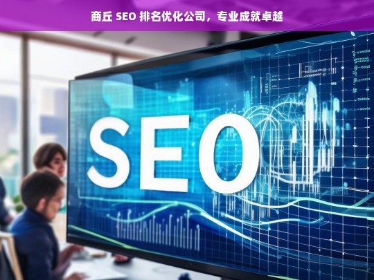 商丘 SEO 排名优化公司，专业成就卓越