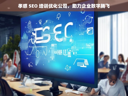 孝感 SEO 培训优化公司，助力企业数字腾飞