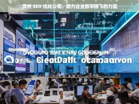 贵州 SEO 优化公司，助力企业数字腾飞的力量