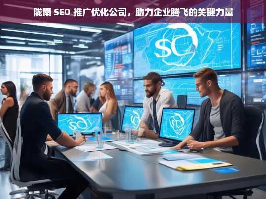 陇南 SEO 推广优化公司，助力企业腾飞的关键力量