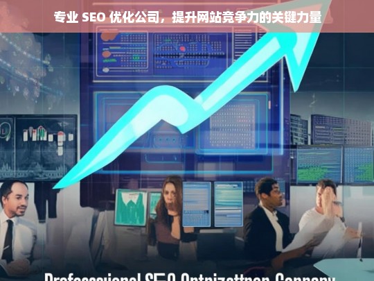 专业 SEO 优化公司，提升网站竞争力的关键力量