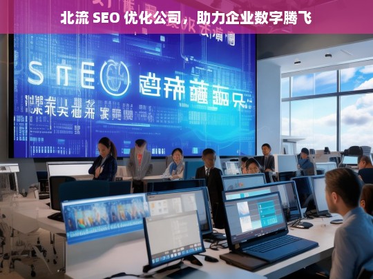 北流 SEO 优化公司，助力企业数字腾飞