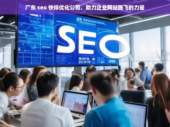 广东 seo 快排优化公司，助力企业网站腾飞的力量