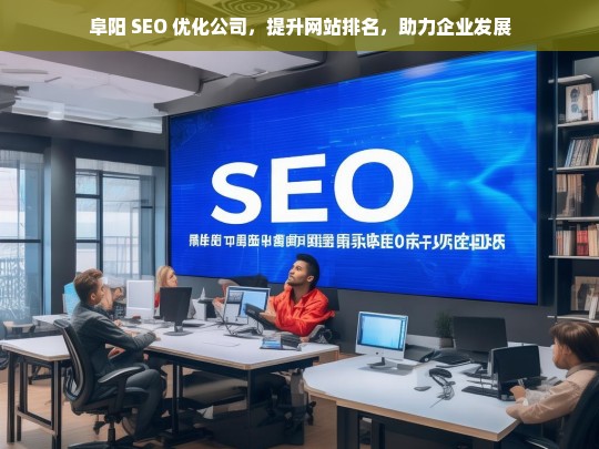 阜阳 SEO 优化公司，提升网站排名，助力企业发展