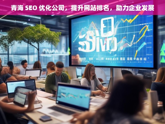 青海 SEO 优化公司，提升网站排名，助力企业发展