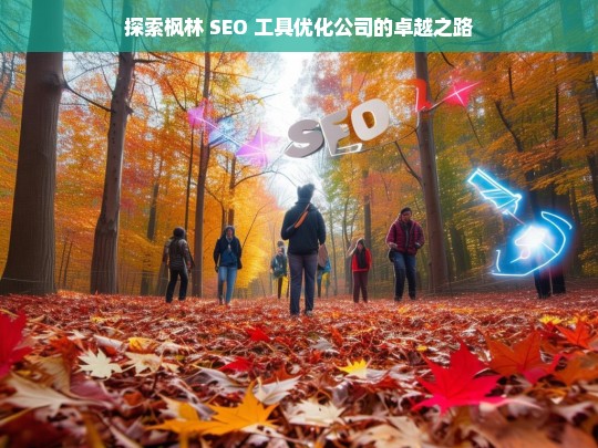 探索枫林 SEO 工具优化公司的卓越之路