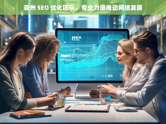 潮州 SEO 优化团队，专业力量推动网络发展